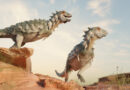 Hallan en la Patagonia el primer dinosaurio bípedo y acorazado de Sudamérica