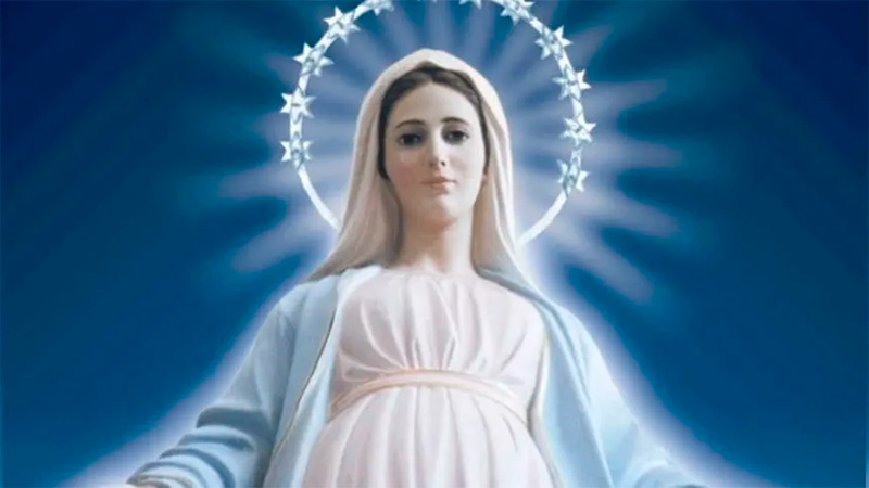 Día de la Virgen María: por qué se celebra hoy a la Inmaculada Concepción :  Paraná hacia el Mundo
