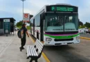 Desde marzo se optimizan los recorridos líneas del transporte urbano