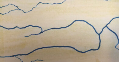 Invitan a la inauguración de una instalación sonora en el Museo Provincial de Bellas Artes