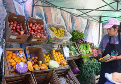 La Feria en tu Barrio continúa esta semana a tres puntos de Paraná