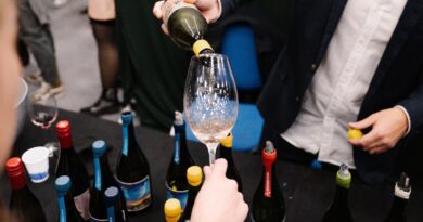 Paraná Wine reunirá a más de 70 bodegas en la capital provincial