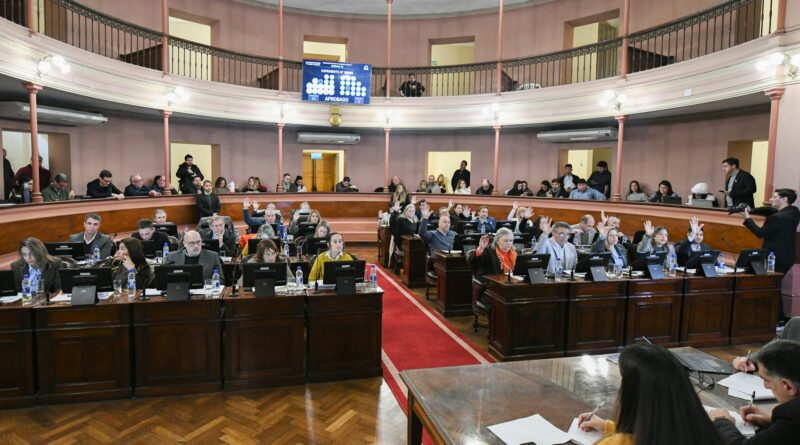 Media sanción en Diputados al proyecto de alivio fiscal para el comercio