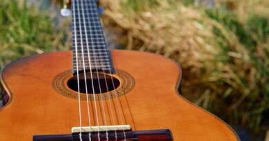Música y poesía en el Archivo General de Entre Ríos con “La Encordada”