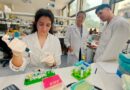 Avanzan en el diseño de un test rápido y económico para detectar dengue