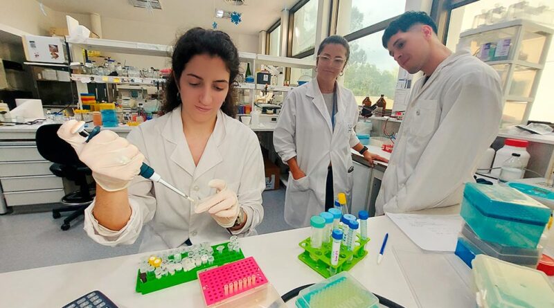 Avanzan en el diseño de un test rápido y económico para detectar dengue