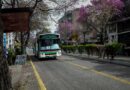 Obras en calle 25 de Mayo: modifican recorridos de colectivos