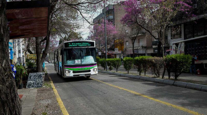 Obras en calle 25 de Mayo: modifican recorridos de colectivos