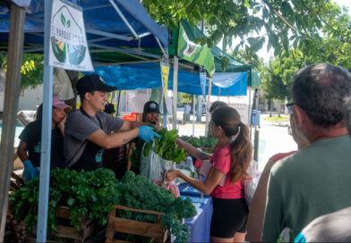 Feria en tu Barrio estará esta semana en tres puntos de Paraná