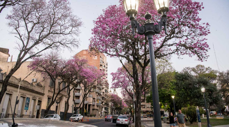 Ferias y cultura: la agenda de Paraná para el fin de semana largo