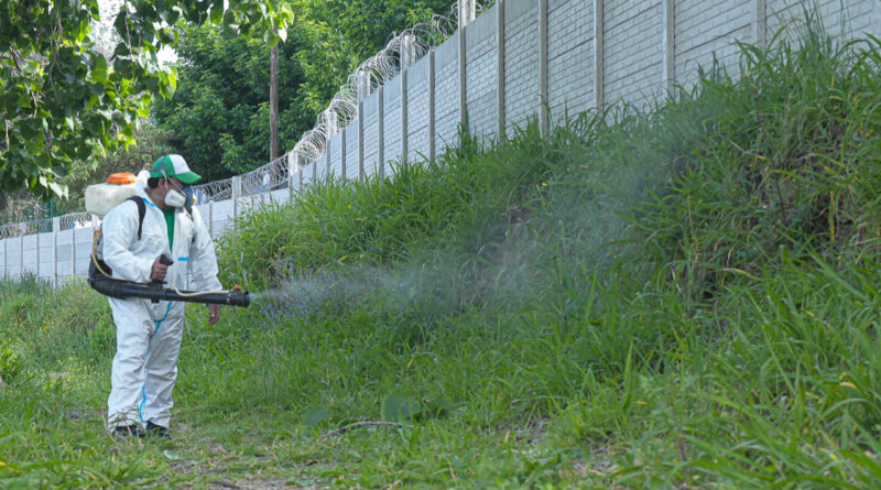 Intensifican operativos de fumigación en espacios públicos