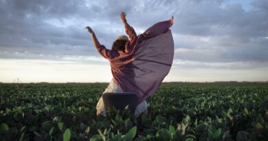 Un Domingo de Teatro presenta danza y clown en La Vieja Usina