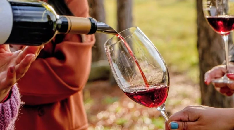 Paraná será sede de las VI Jornadas Nacionales de Turismo del Vino